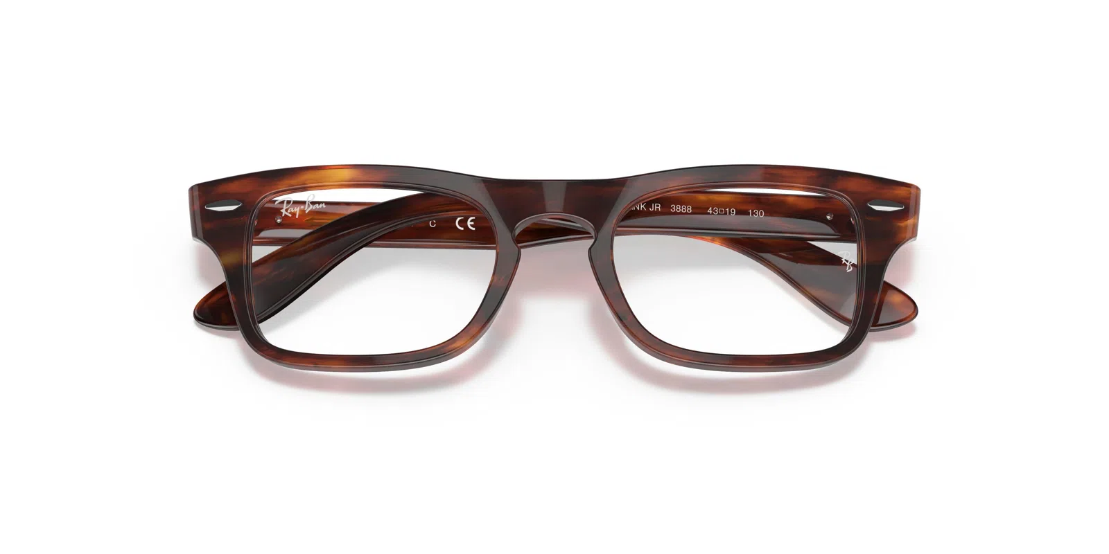 Ray-Ban Kids Burbank Jr 0RY9083V Eyeglasses - view 30